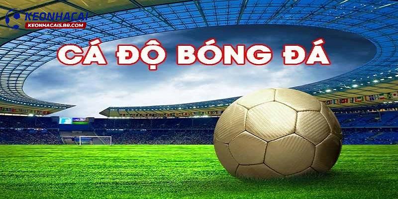 Giới thiệu về nhà cái cá độ bóng đá Giới thiệu về nhà cái cá độ bóng đá