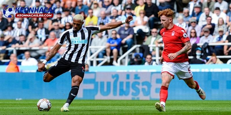 Soi kèo Newcastle vs Nottingham Soi kèo Newcastle vs Nottingham