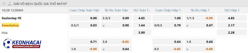 Tỷ lệ soi kèo Gaziantep vs Fenerbahce Tỷ lệ soi kèo Gaziantep vs Fenerbahce