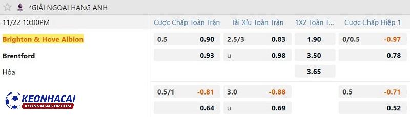 Tỷ lệ soi kèo Brighton vs Brentford Tỷ lệ soi kèo Brighton vs Brentford